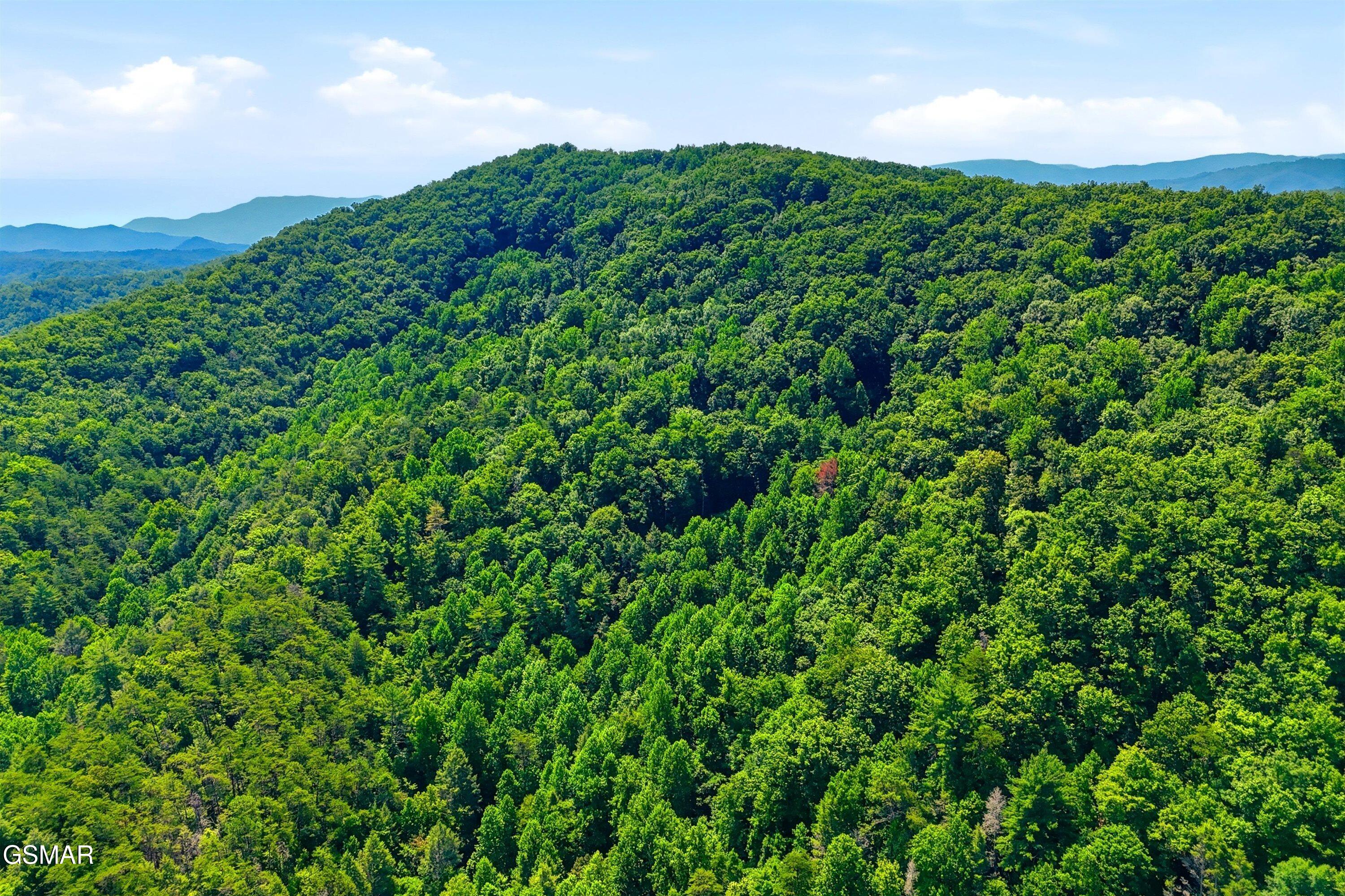 Tr 5 Wilhite Road Sevierville TN 37876