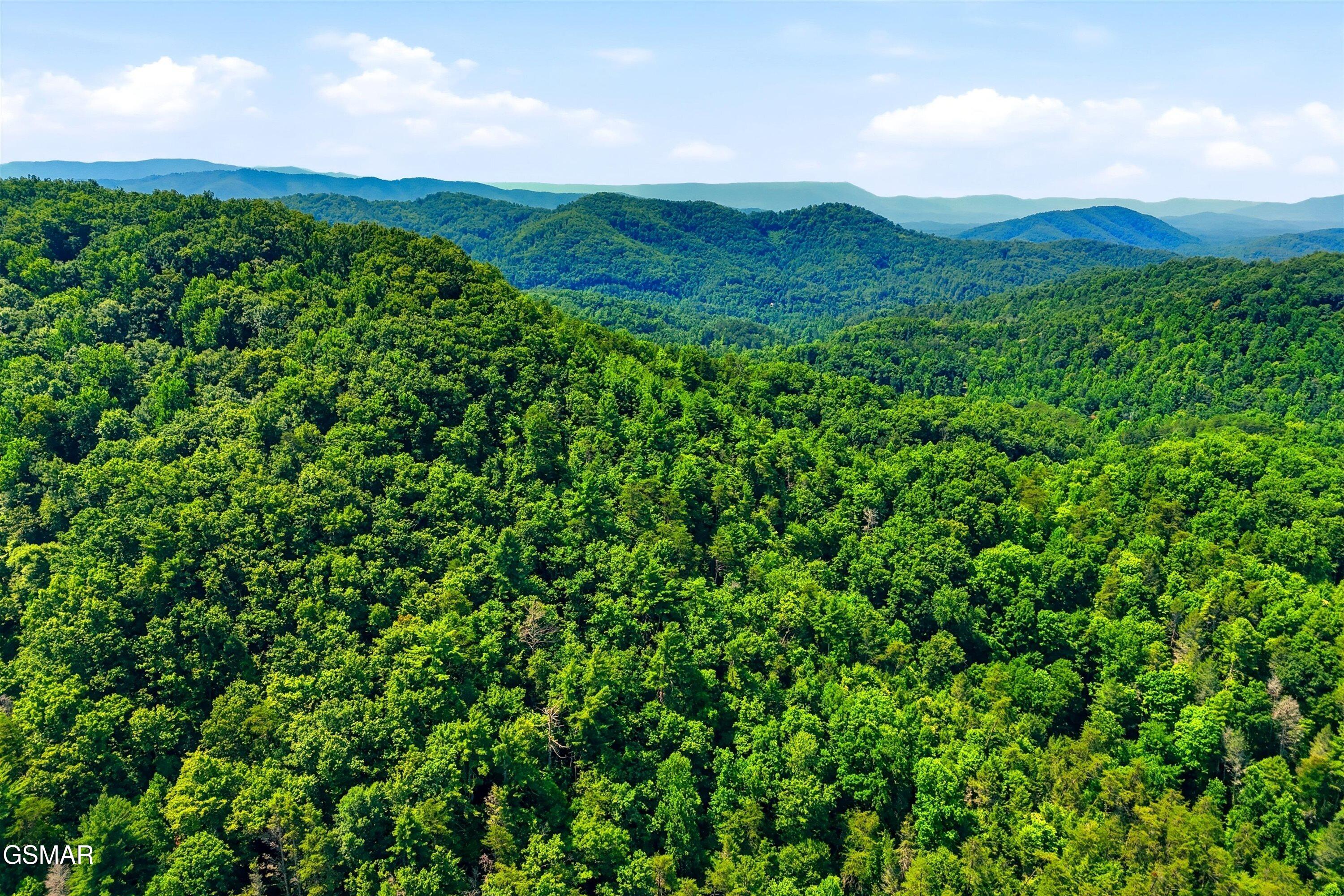 Tr 5 Wilhite Road Sevierville TN 37876