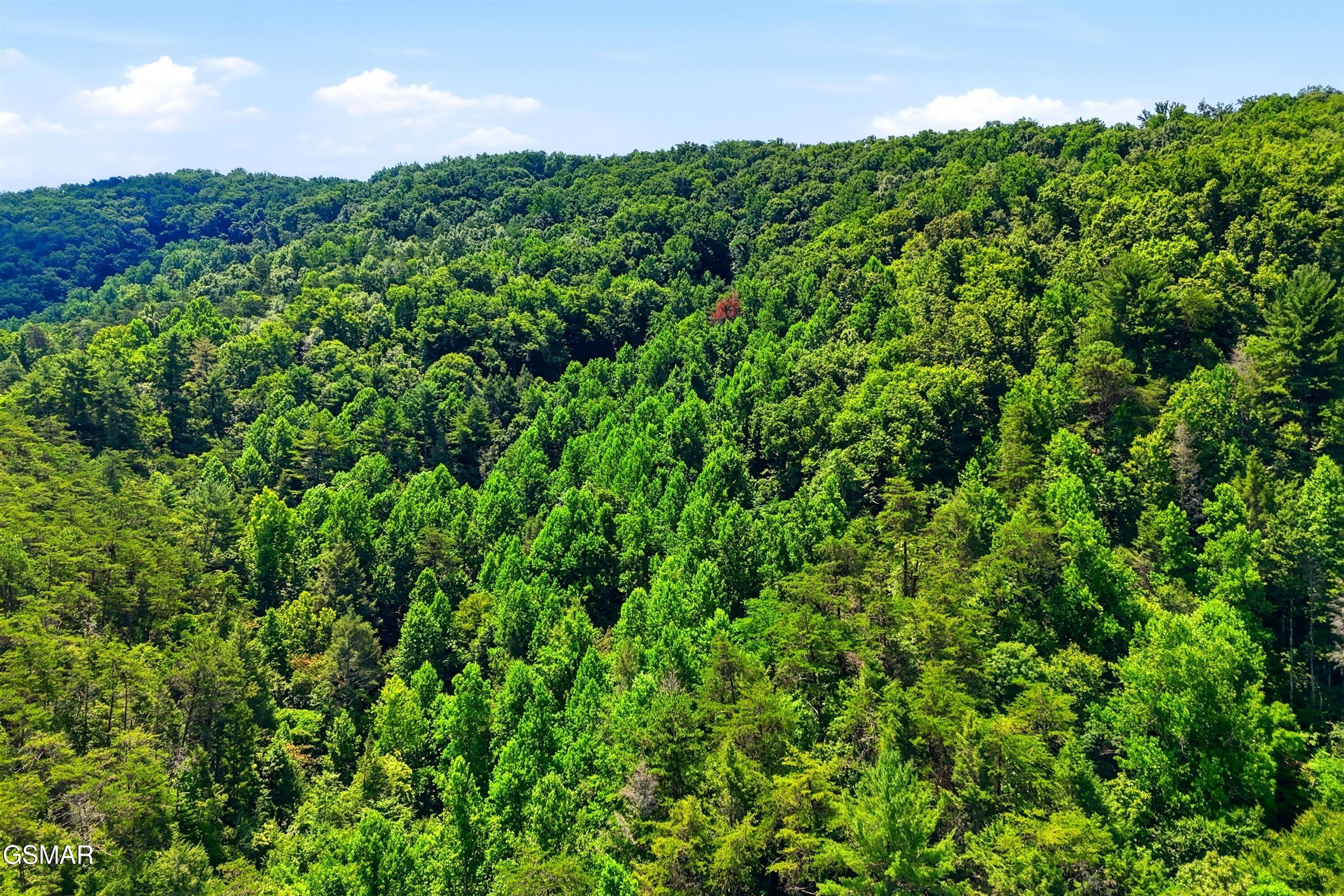 Tr 5 Wilhite Road Sevierville TN 37876