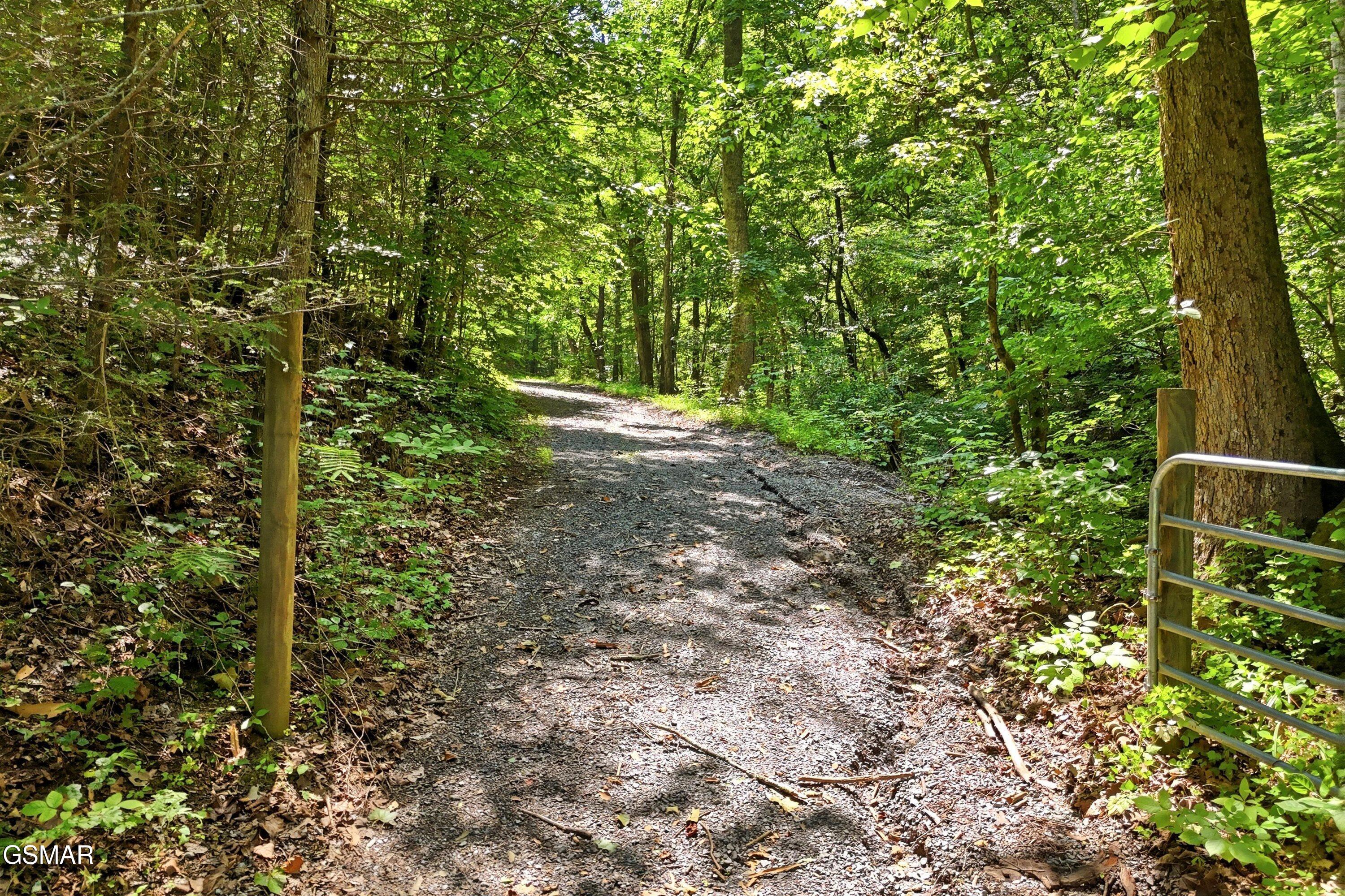 Tr 5 Wilhite Road Sevierville TN 37876