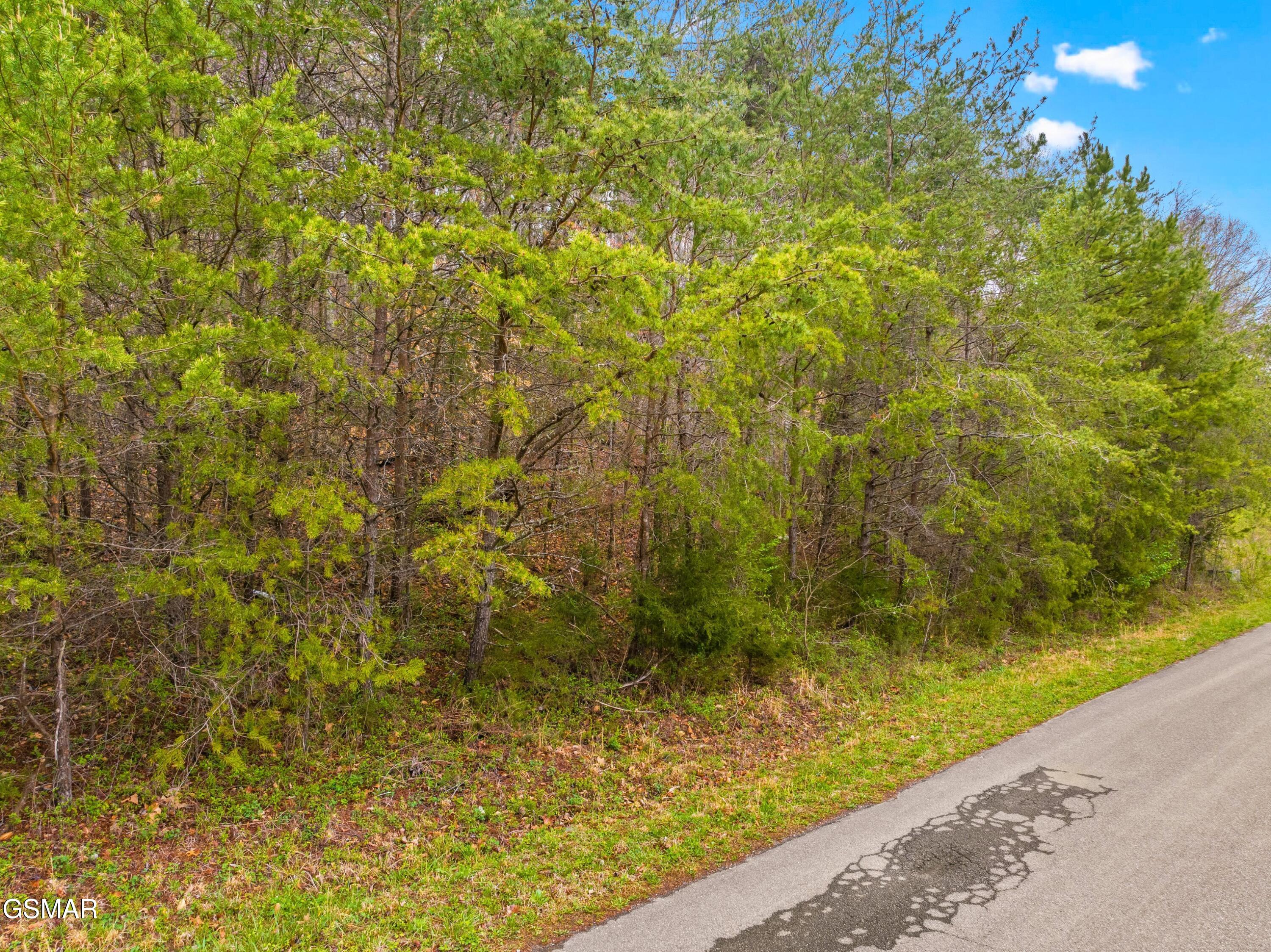 0 English Fields Drive Newport TN 37821