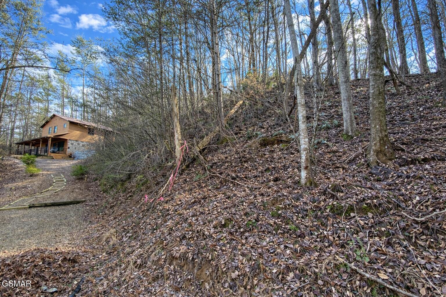 - Cole Lane Off Gatlinburg TN 37738