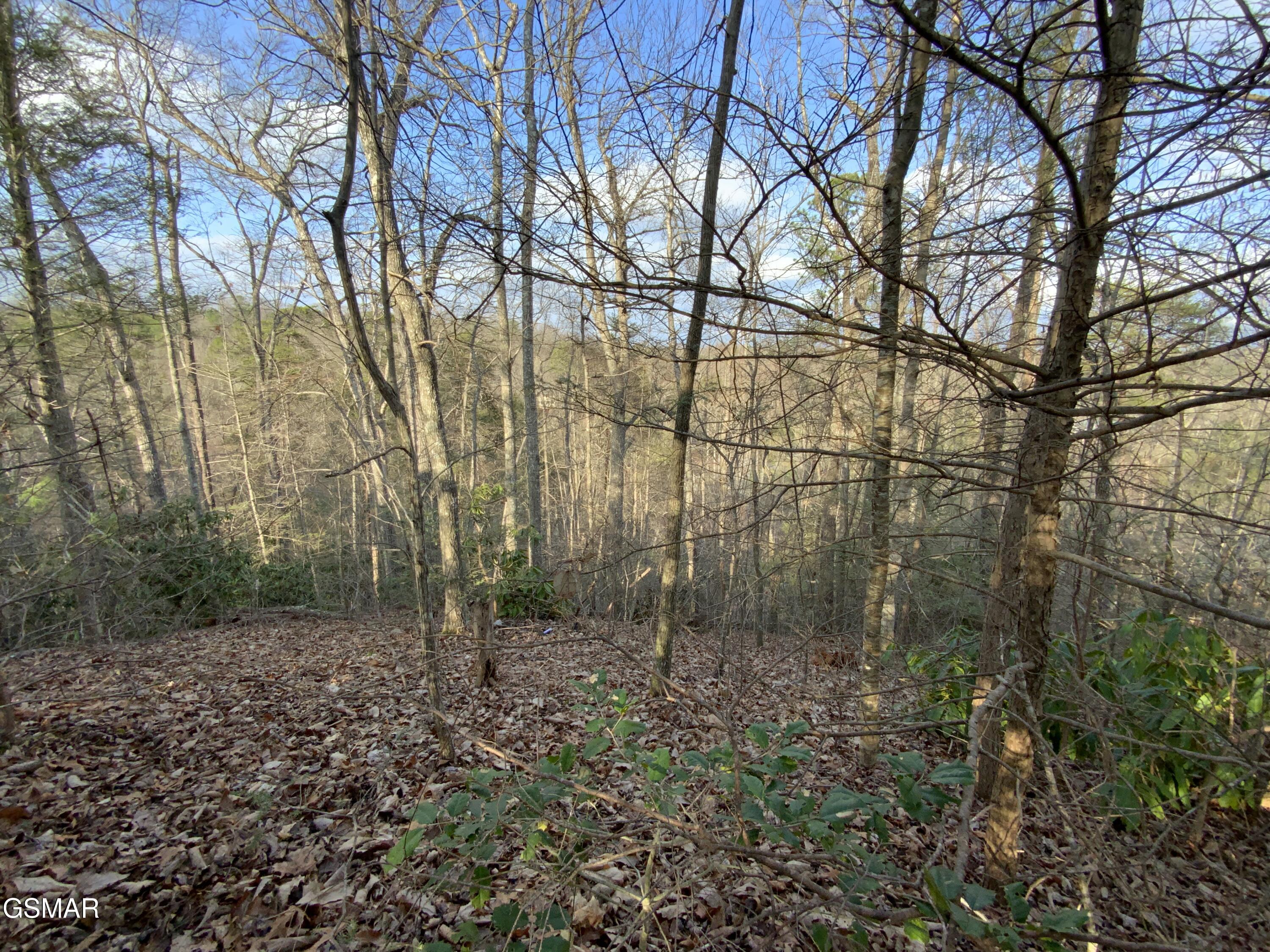 - Cole Lane Off Gatlinburg TN 37738