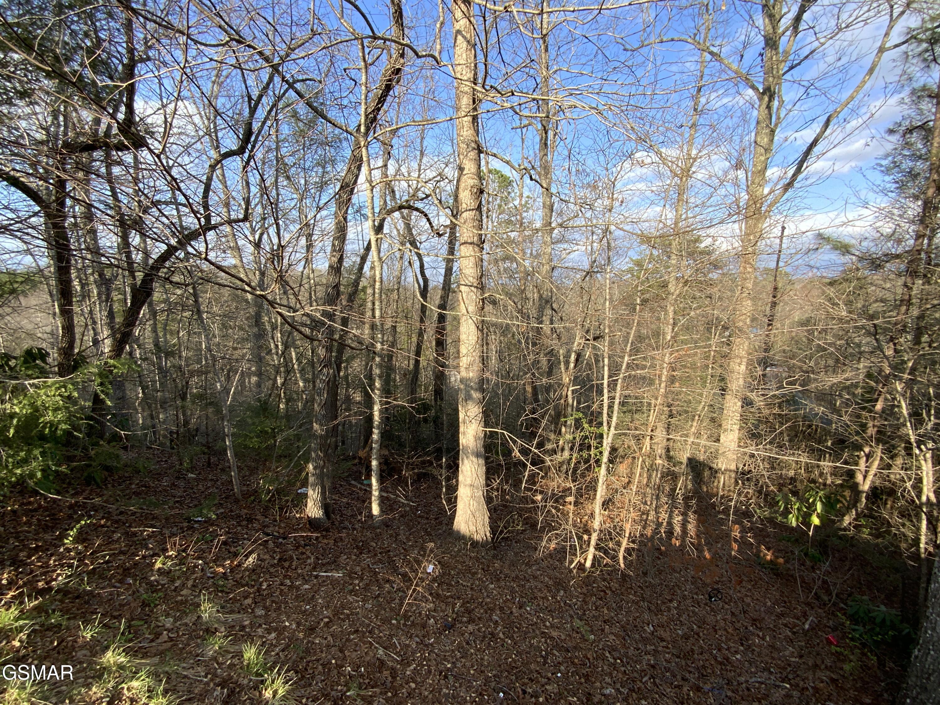 - Cole Lane Off Gatlinburg TN 37738