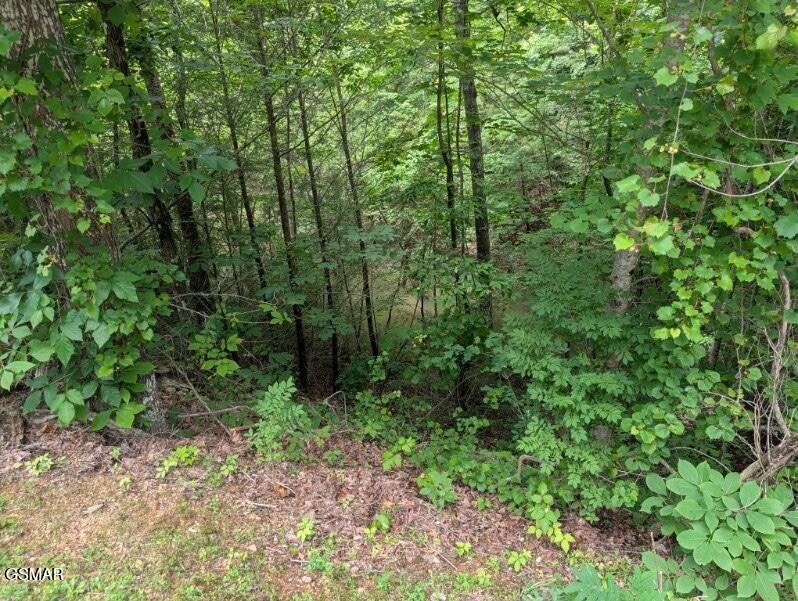 00 Ski Mountain Road Gatlinburg TN 37738