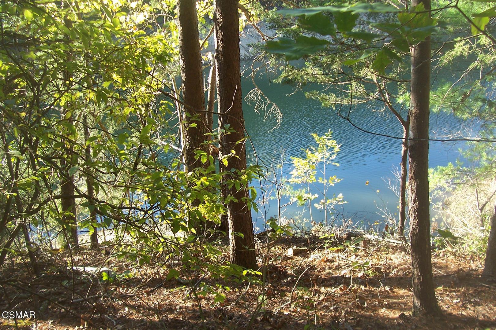 Lot 20 Scott Street Sevierville TN 37876