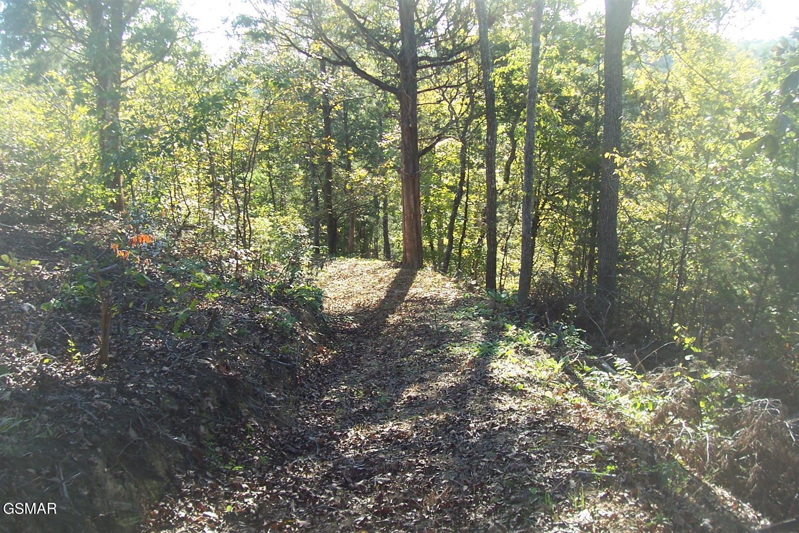 Lot 20 Scott Street Sevierville TN 37876