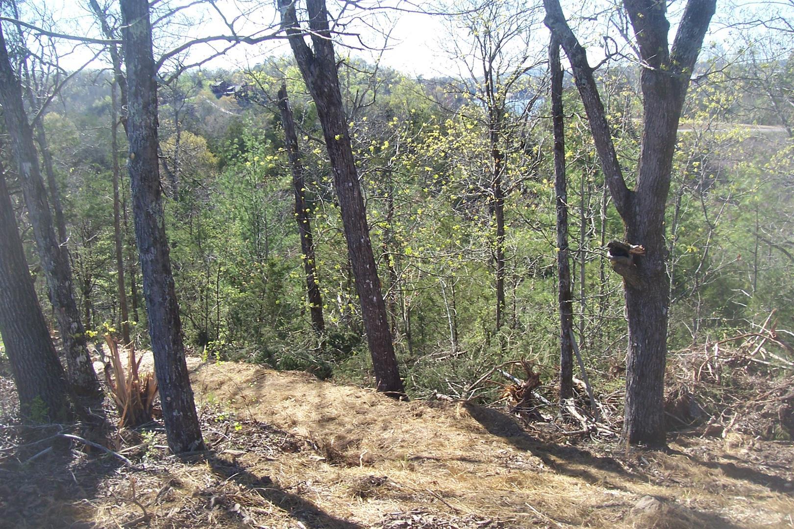 Lot 20 Scott Street Sevierville TN 37876