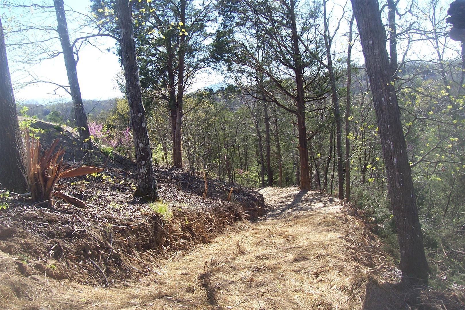 Lot 20 Scott Street Sevierville TN 37876
