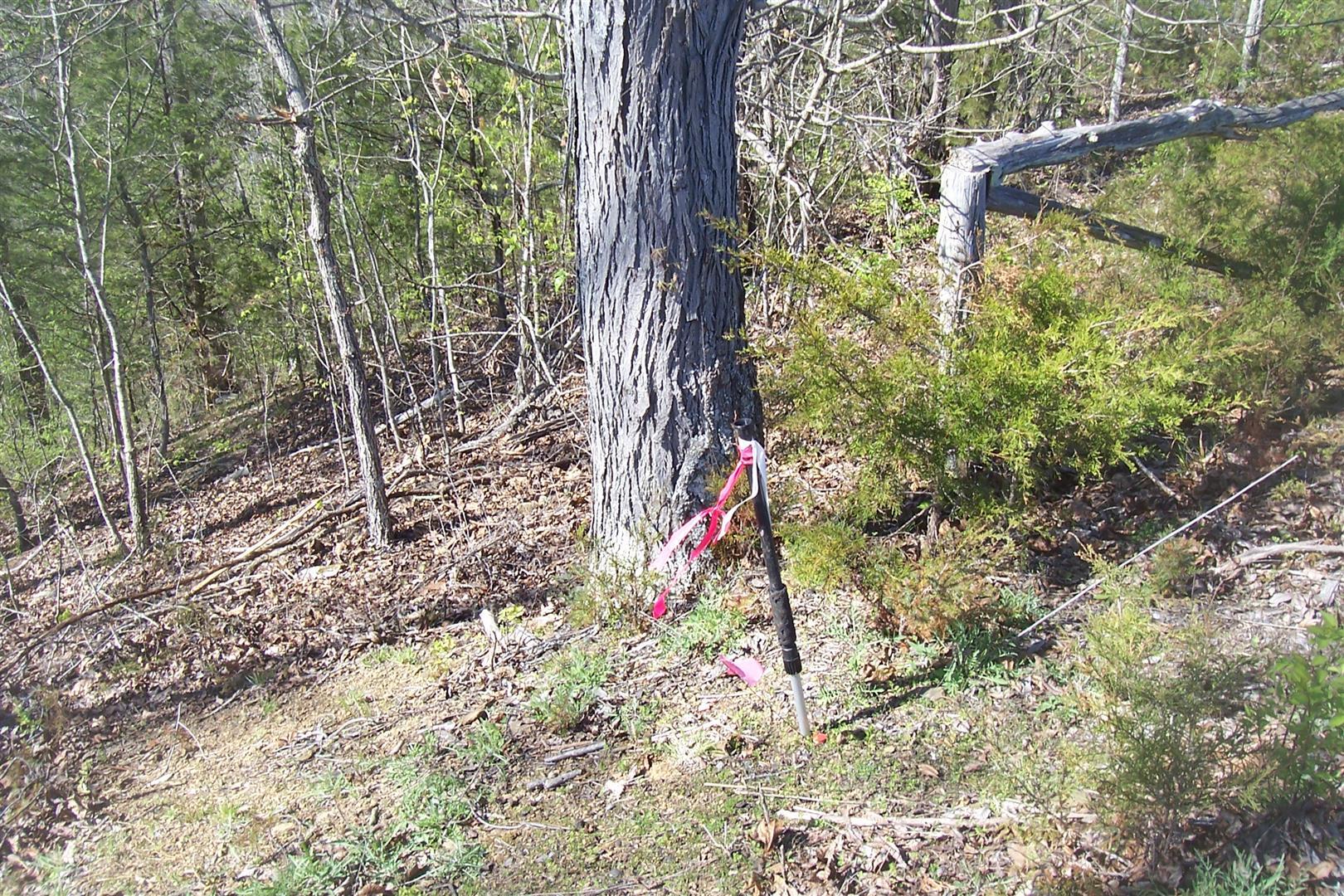 Lot 20 Scott Street Sevierville TN 37876