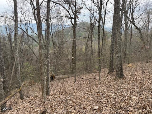 0 Bear Mountain Lane Sevierville TN 37876
