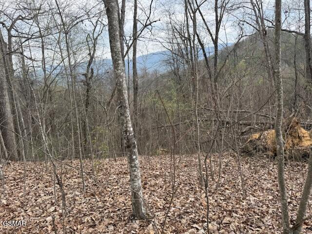 0 Bear Mountain Lane Sevierville TN 37876