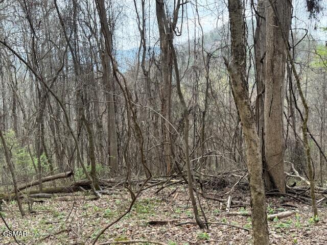 0 Bear Mountain Lane Sevierville TN 37876