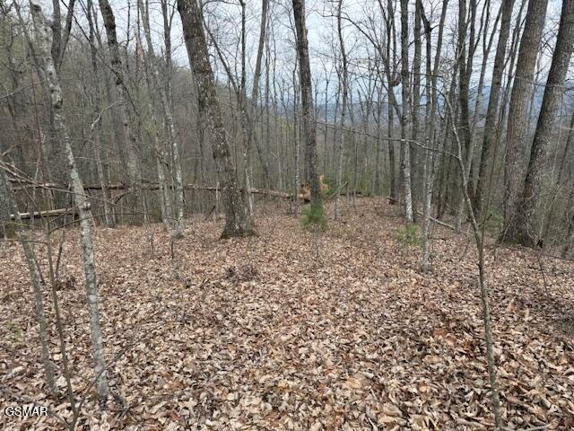 0 Bear Mountain Lane Sevierville TN 37876