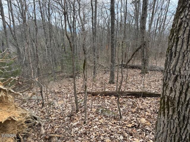 0 Bear Mountain Lane Sevierville TN 37876