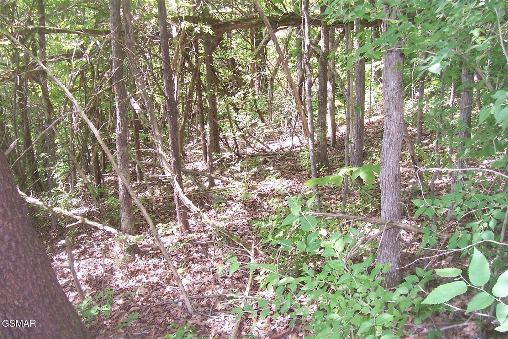Lot 26 Splendor Way Parrottsville TN 37843
