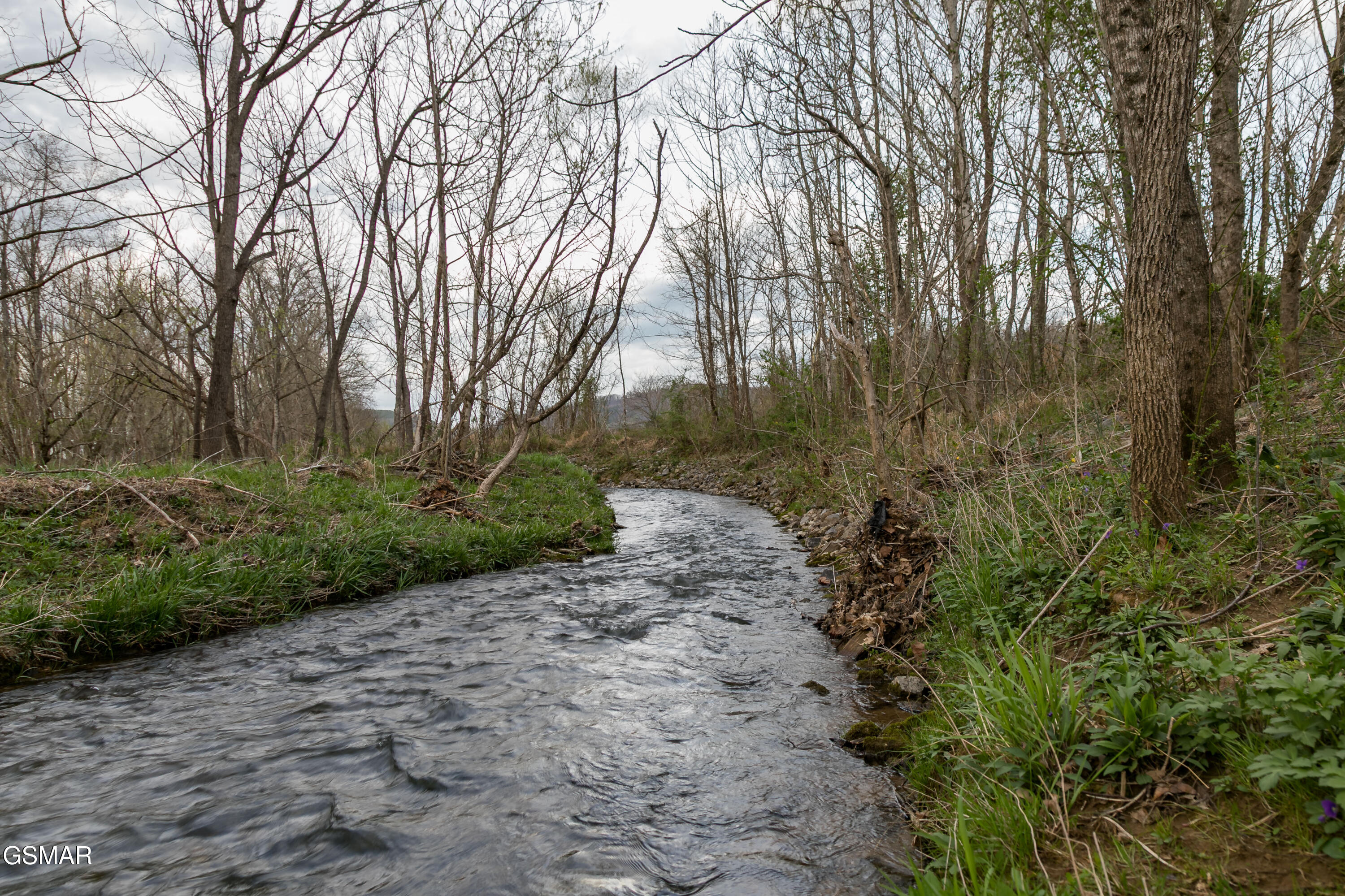 Tbd Robeson Road Sevierville TN 37862