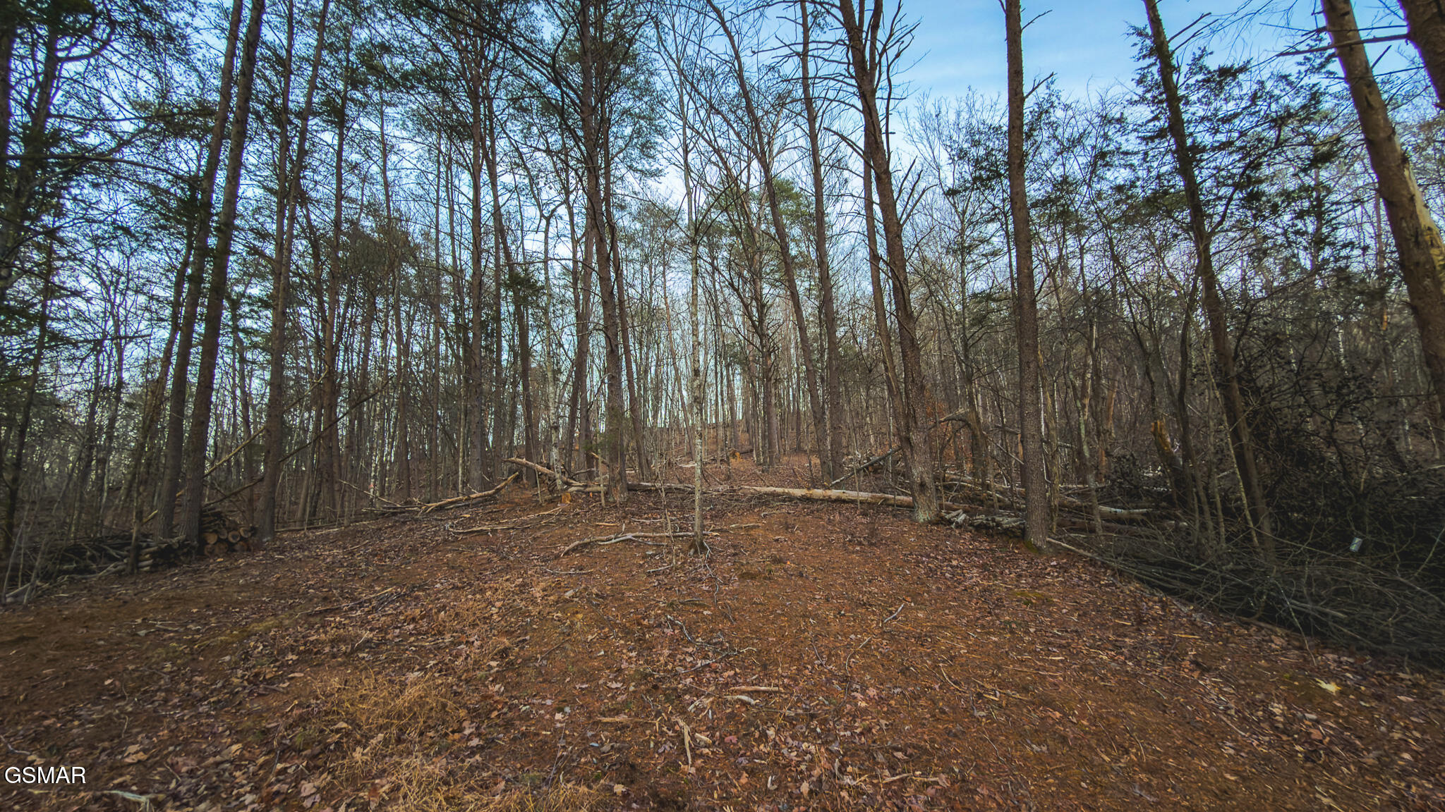 1655 Lester Whitt Road Rutledge TN 37861