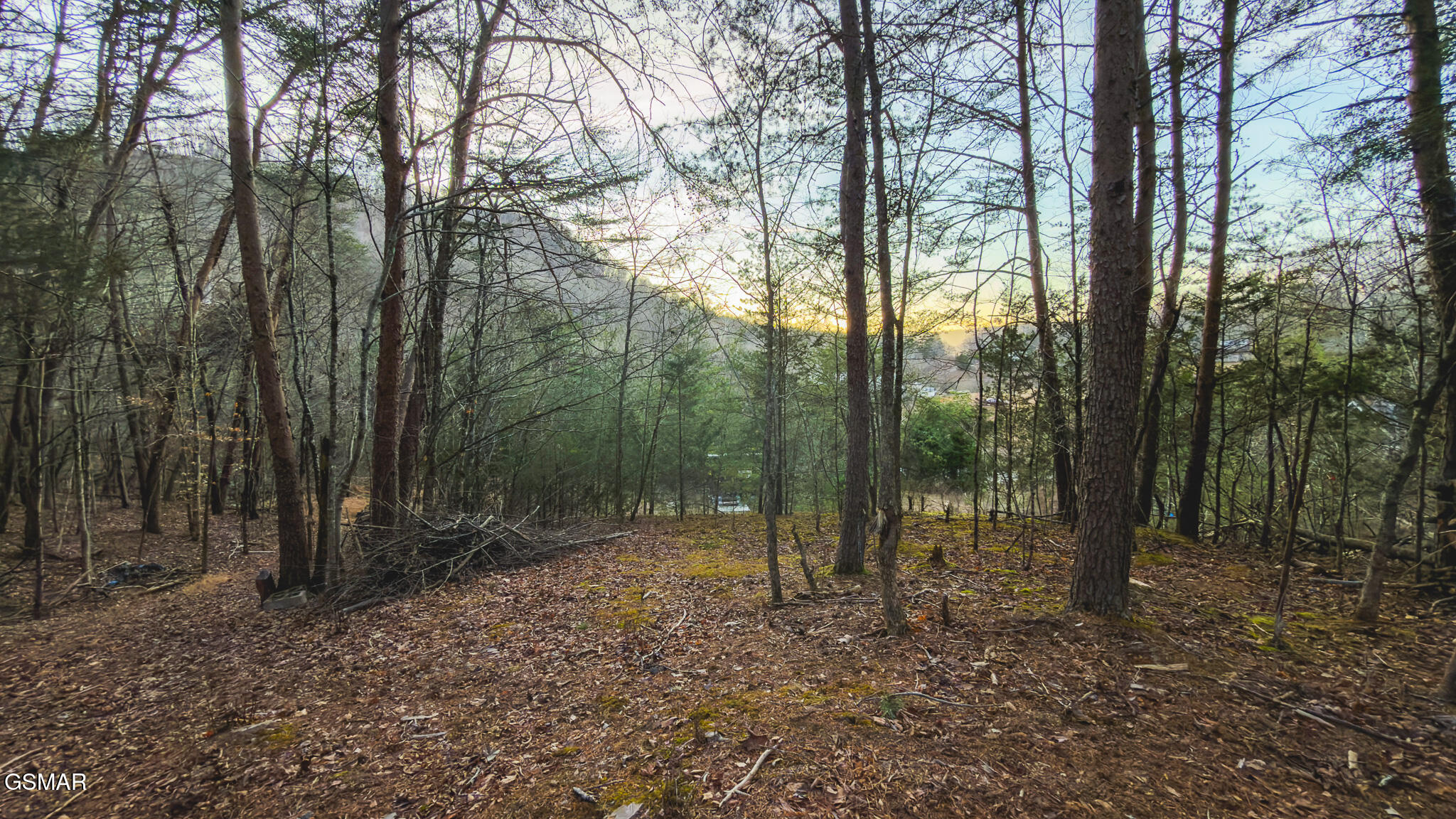 1655 Lester Whitt Road Rutledge TN 37861