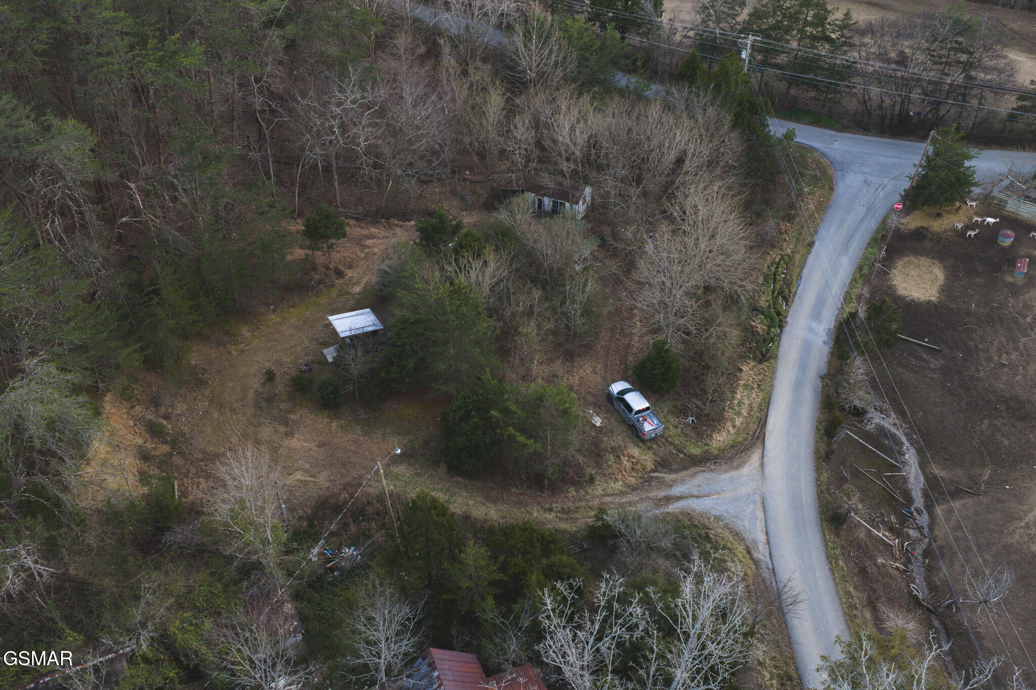 1655 Lester Whitt Road Rutledge TN 37861