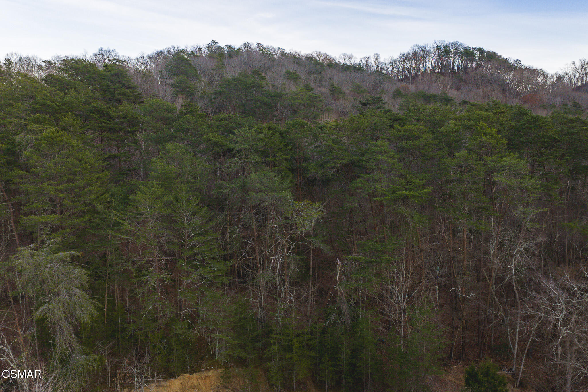 1655 Lester Whitt Road Rutledge TN 37861
