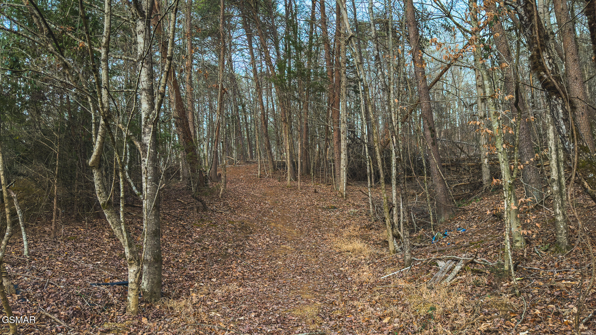 1655 Lester Whitt Road Rutledge TN 37861