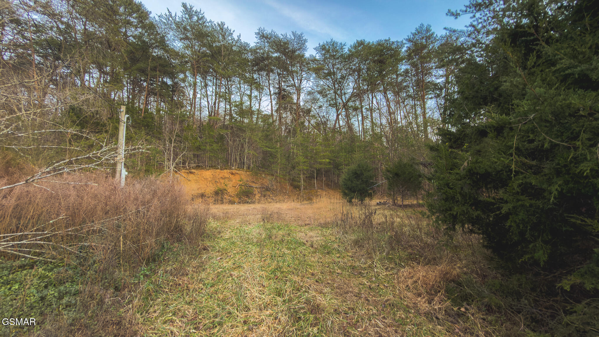 1655 Lester Whitt Road Rutledge TN 37861