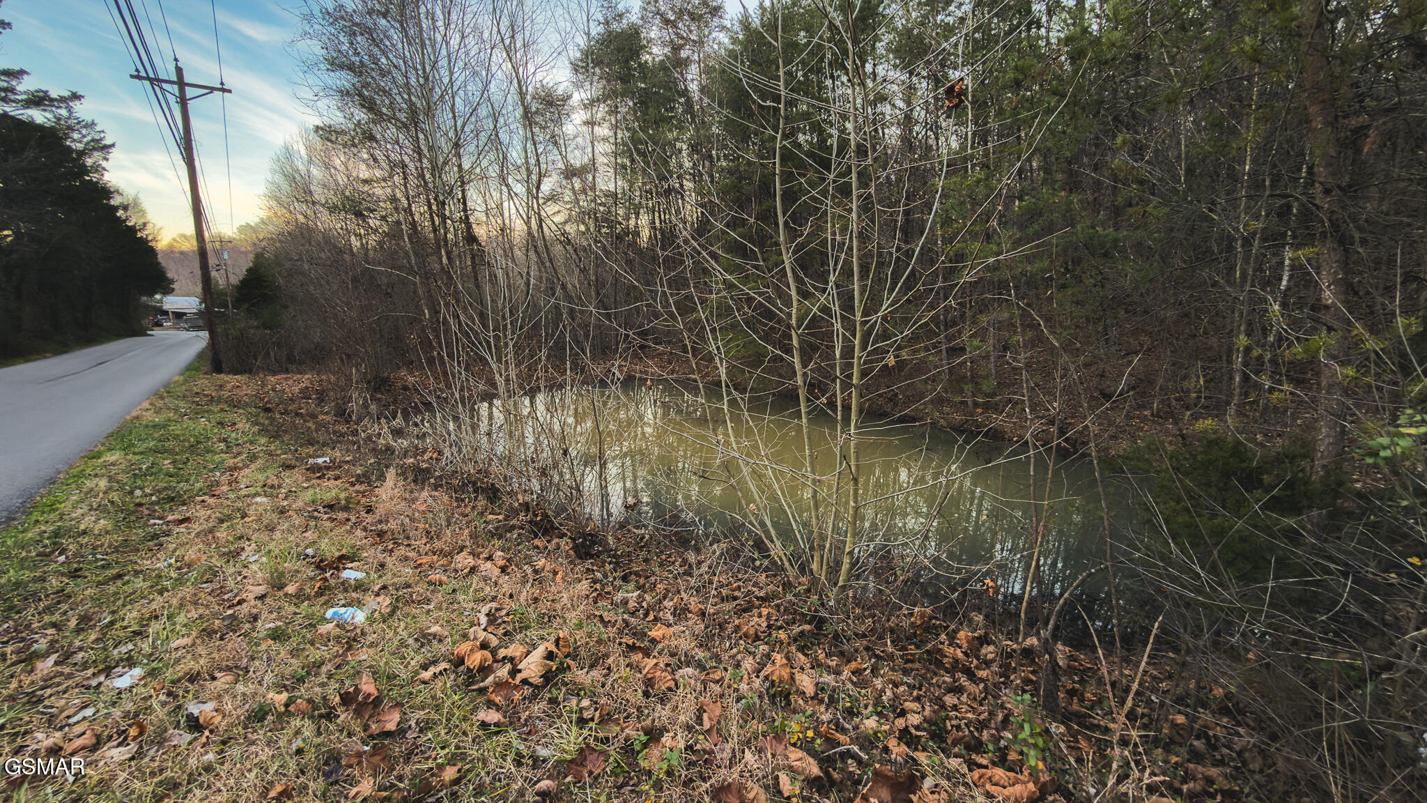 1655 Lester Whitt Road Rutledge TN 37861