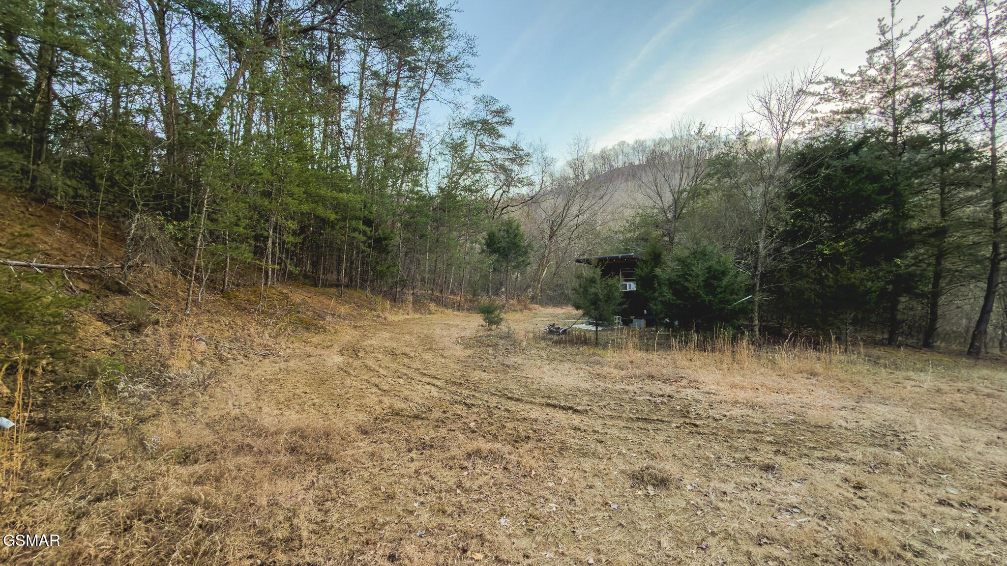 1655 Lester Whitt Road Rutledge TN 37861