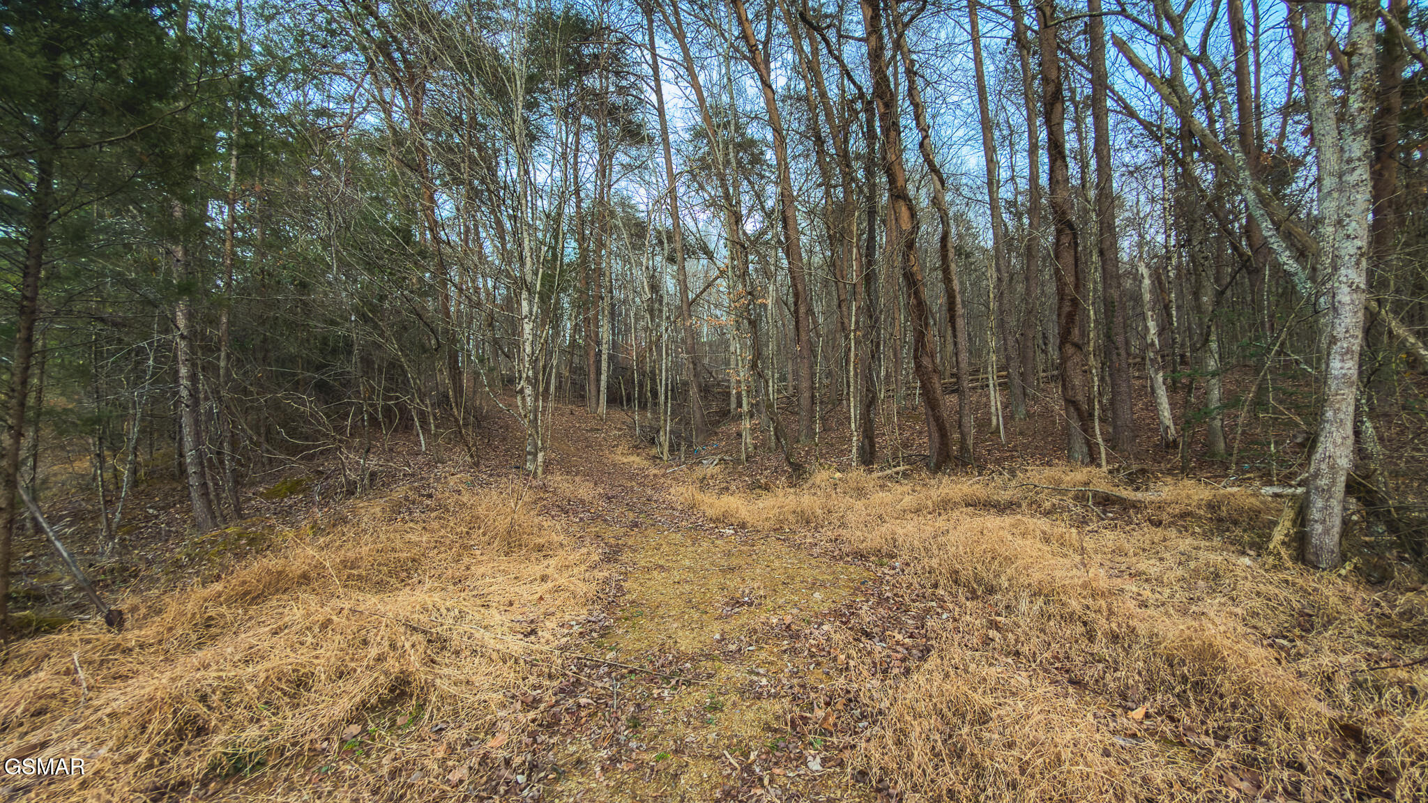 1655 Lester Whitt Road Rutledge TN 37861