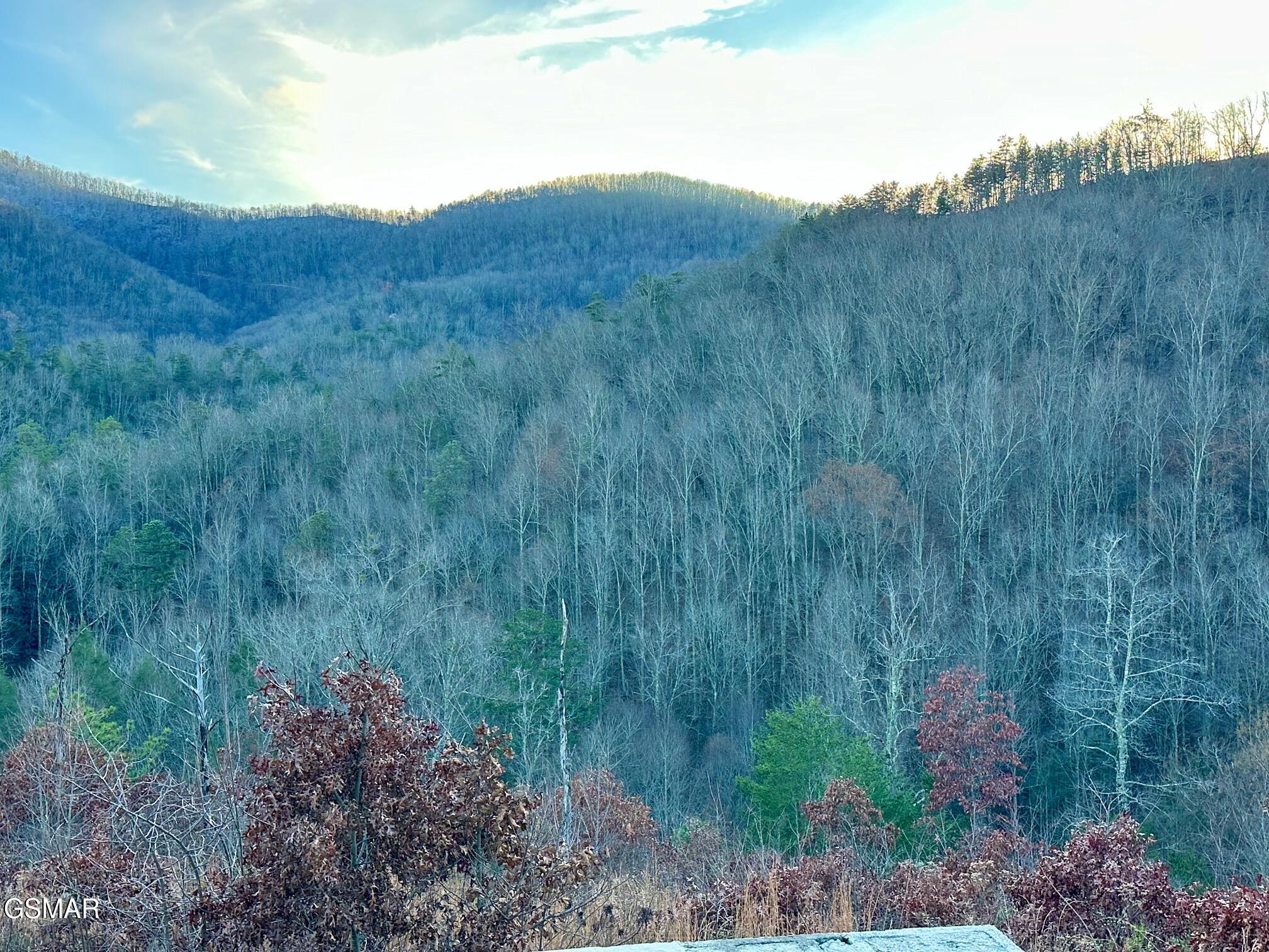 1611 Mountain Dreams Way Sevierville TN 37862