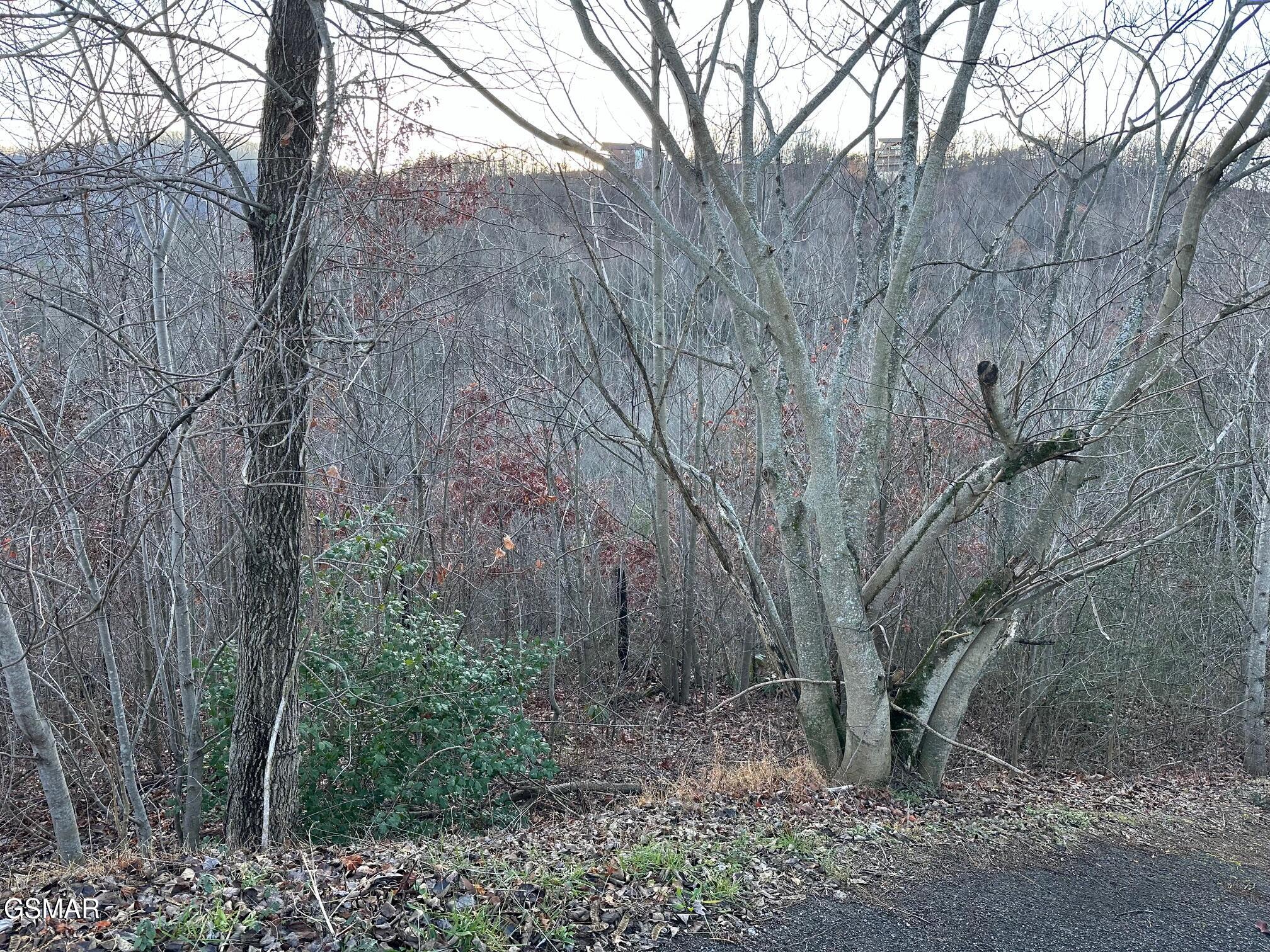 1611 Mountain Dreams Way Sevierville TN 37862