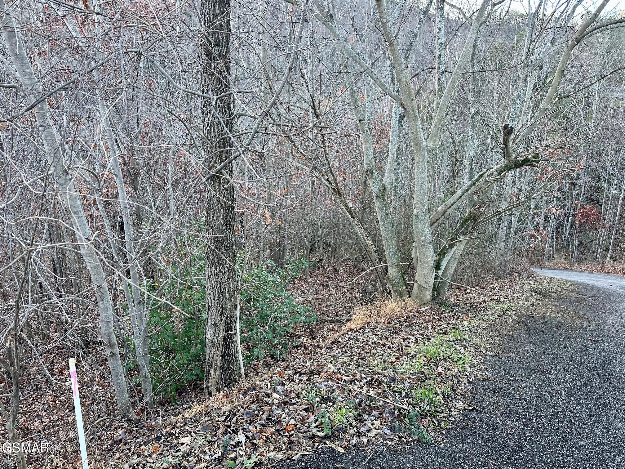 1611 Mountain Dreams Way Sevierville TN 37862