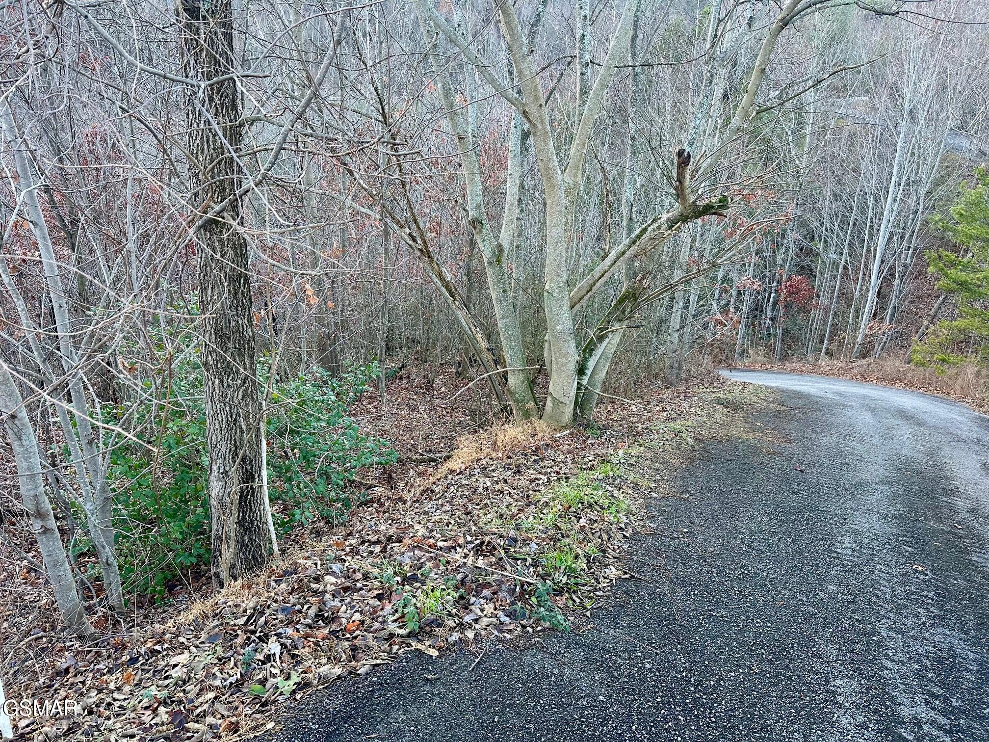 1611 Mountain Dreams Way Sevierville TN 37862