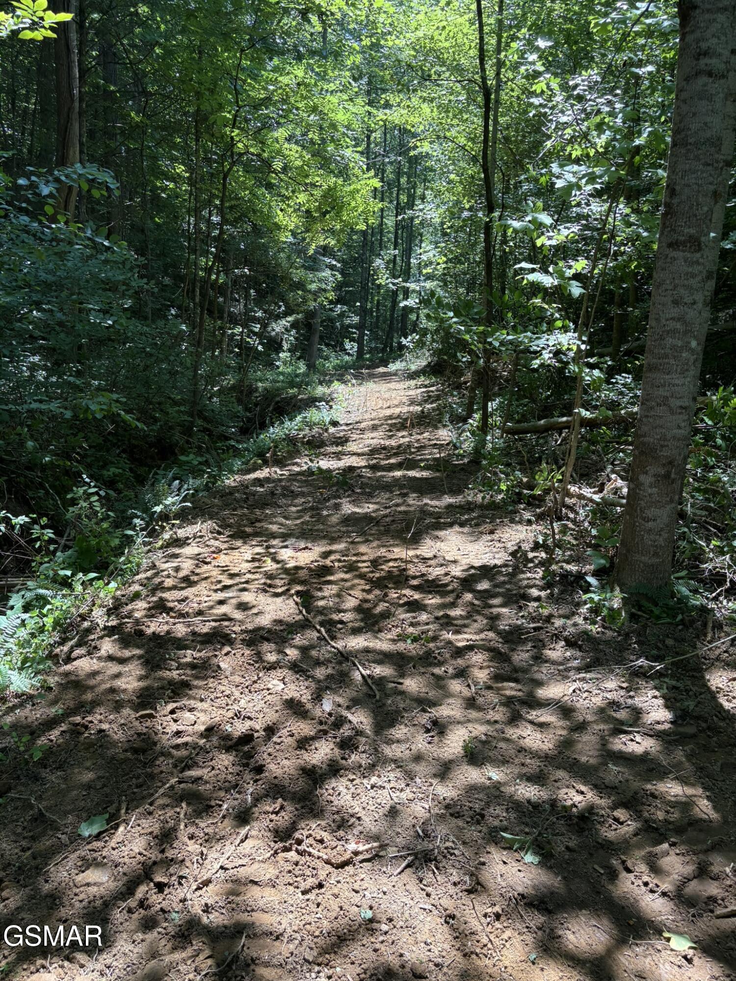 Lot 69 Oak Lake Drive Drive Sevierville TN 37876