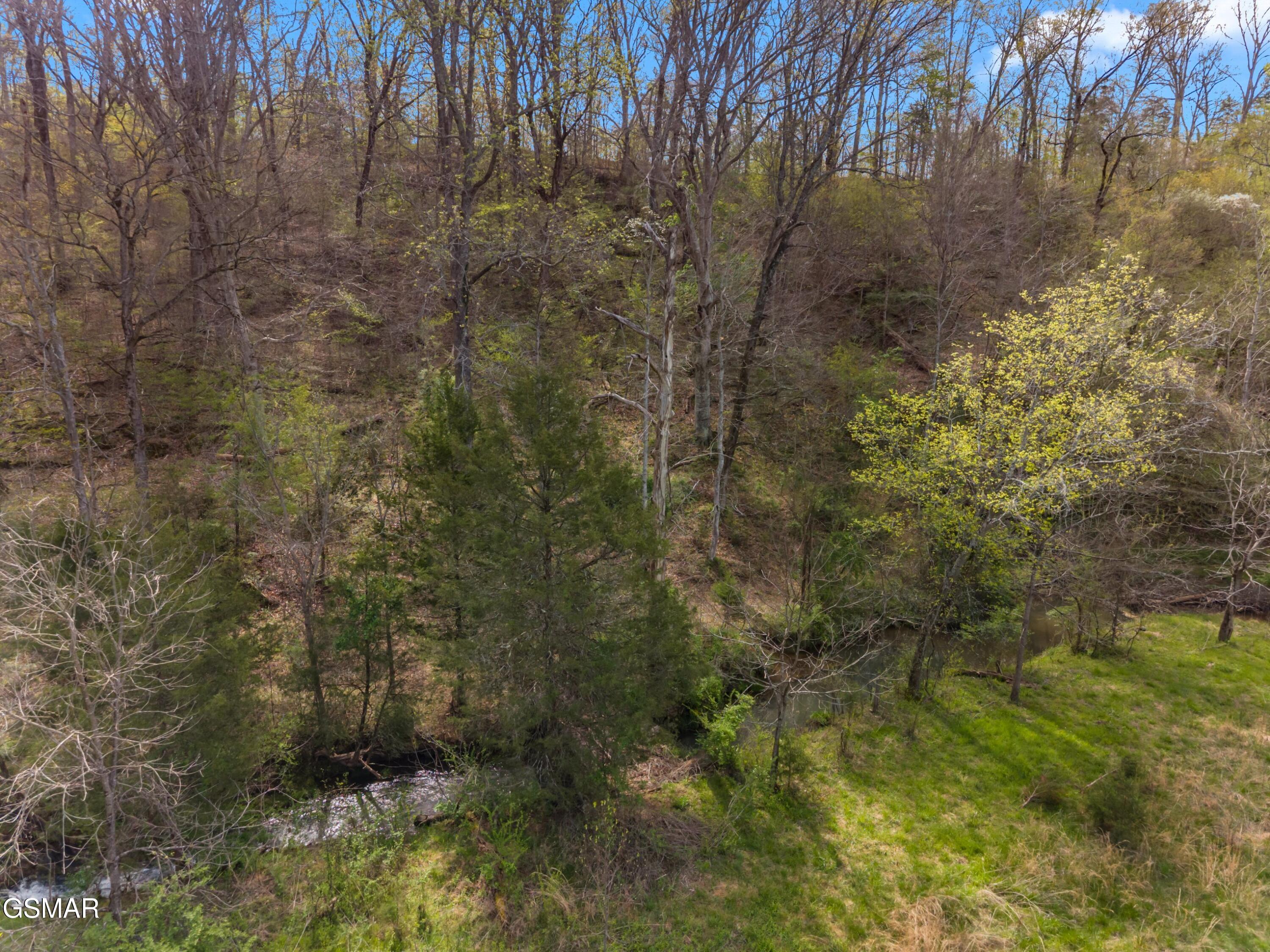 Parcel 012 E Dumplin Valley Road Jefferson City TN 37760