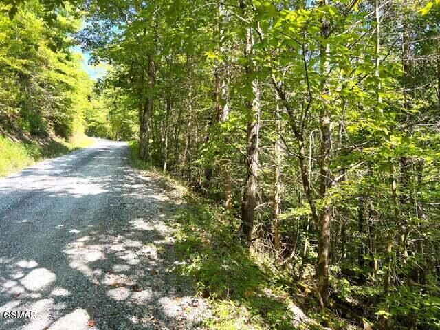 Tract 8 Faith Mountain Way Hartford TN 37753