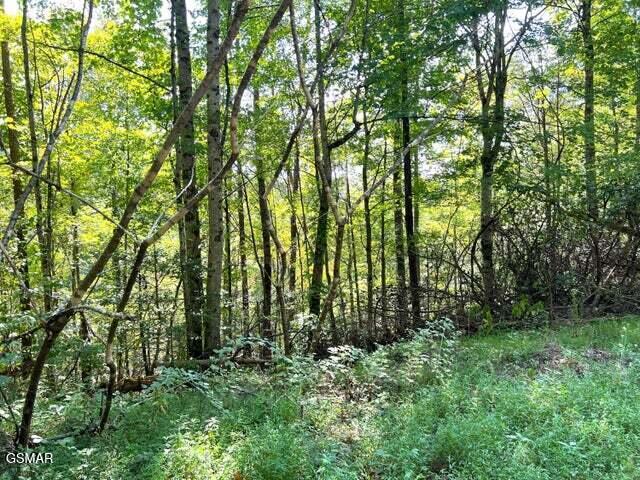 Tract 8 Faith Mountain Way Hartford TN 37753