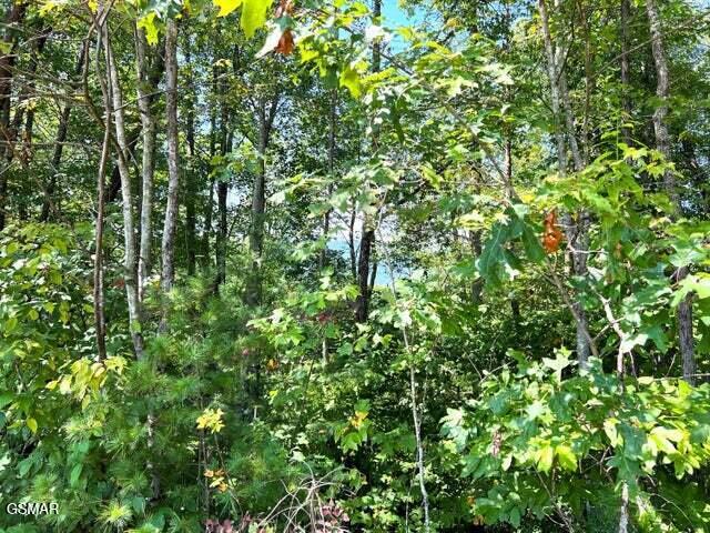 Tract 8 Faith Mountain Way Hartford TN 37753