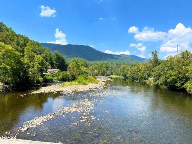 Tract 8 Faith Mountain Way Hartford TN 37753