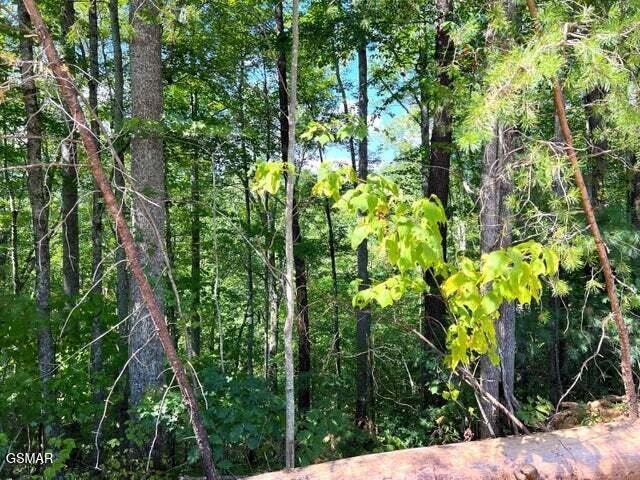 Tract 8 Faith Mountain Way Hartford TN 37753