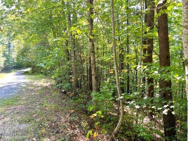 Tract 8 Faith Mountain Way Hartford TN 37753