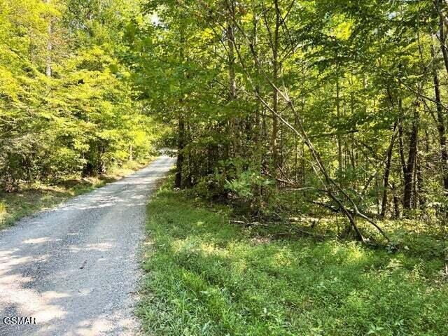 Tract 8 Faith Mountain Way Hartford TN 37753