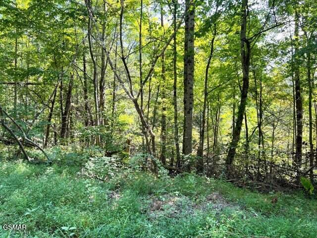 Tract 8 Faith Mountain Way Hartford TN 37753