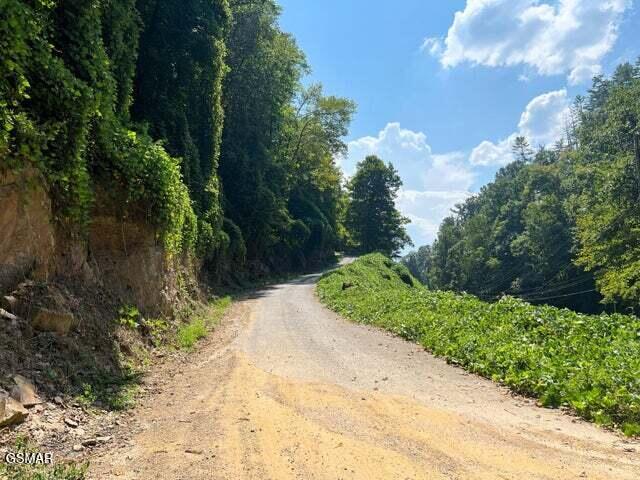 Tract 8 Faith Mountain Way Hartford TN 37753