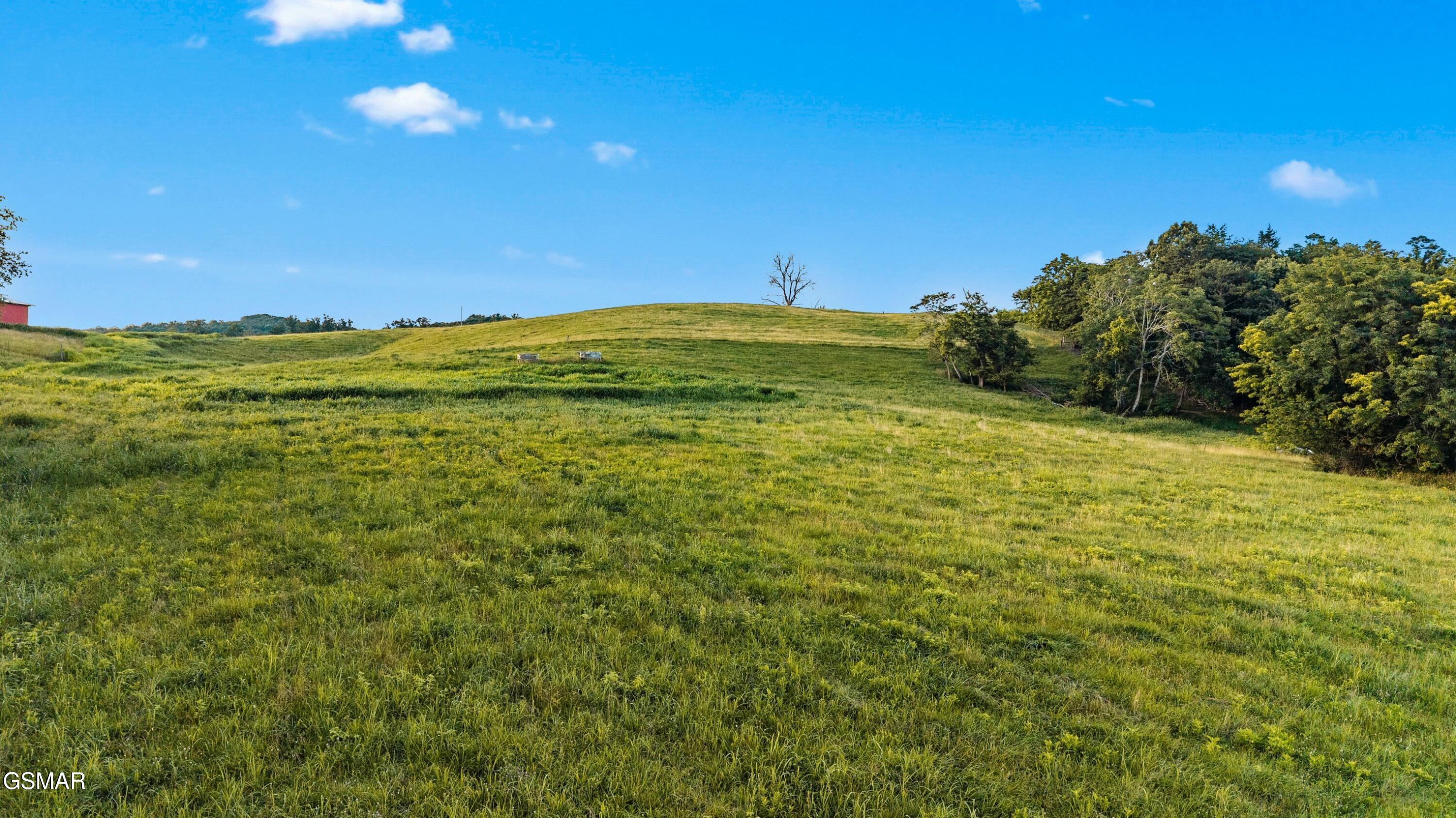 4.5 Acres Perrin Hill Road Rutledge TN 37861