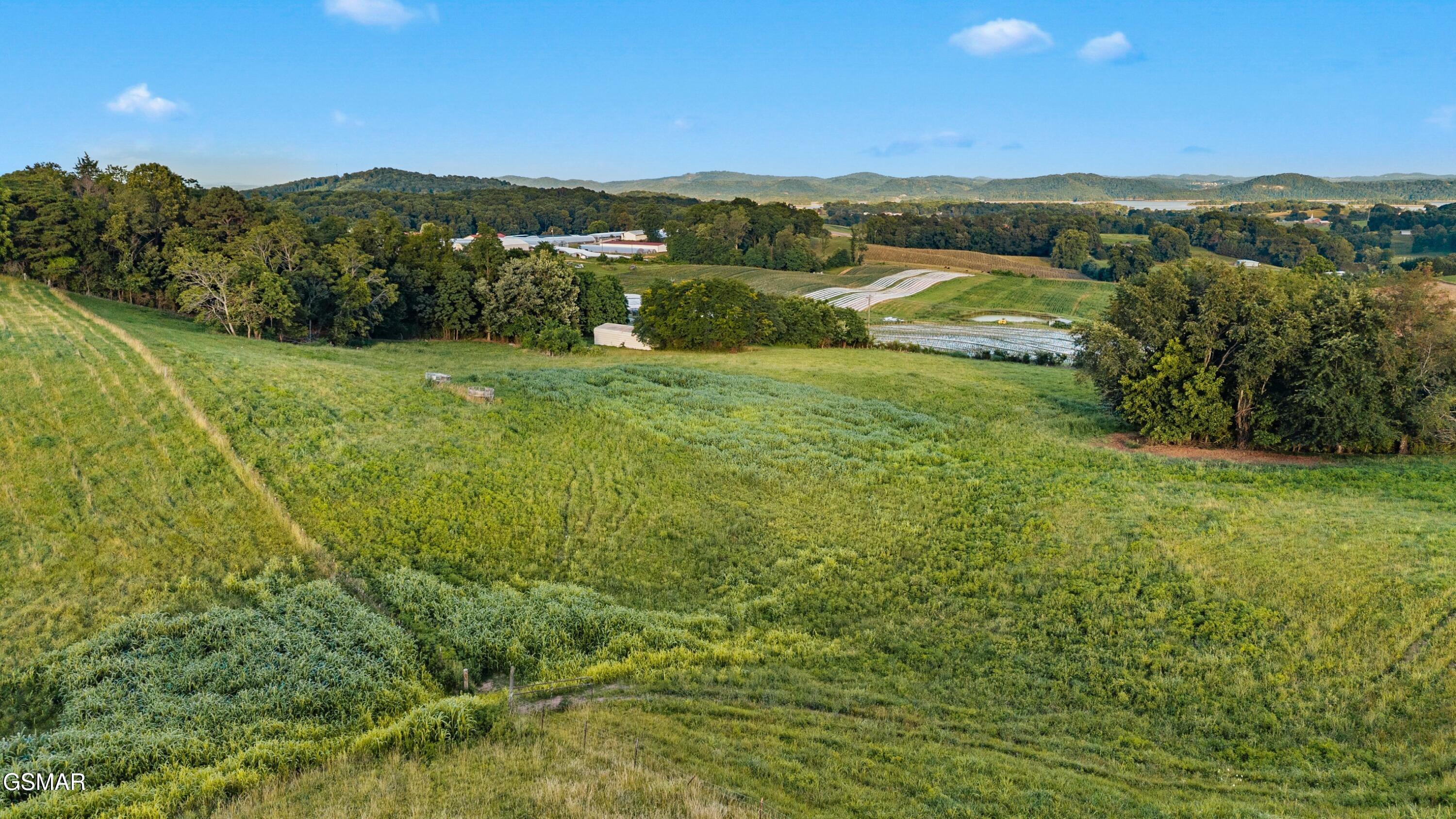 4.5 Acres Perrin Hill Road Rutledge TN 37861