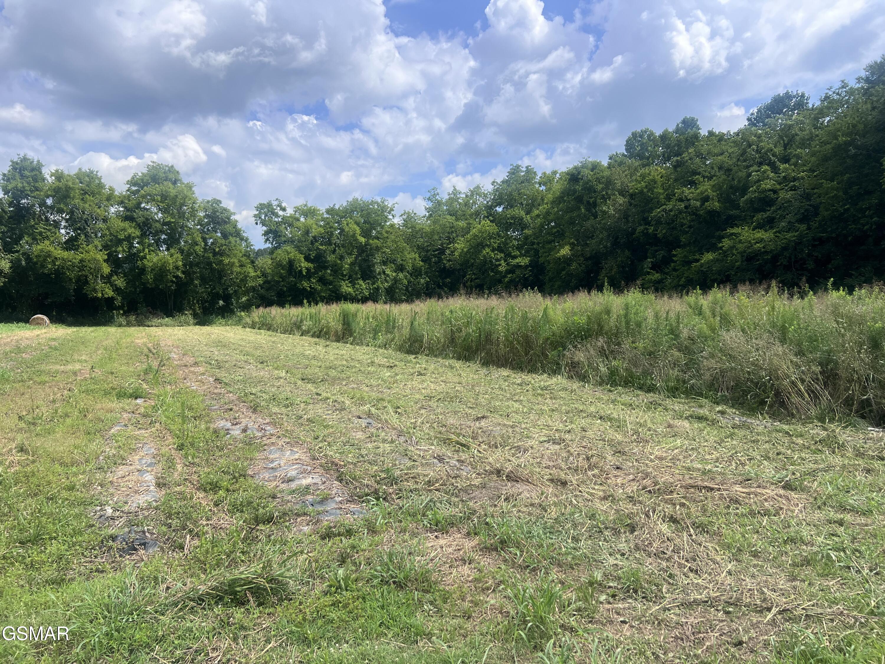 Lot 15 Nibor Way Newport TN 37821