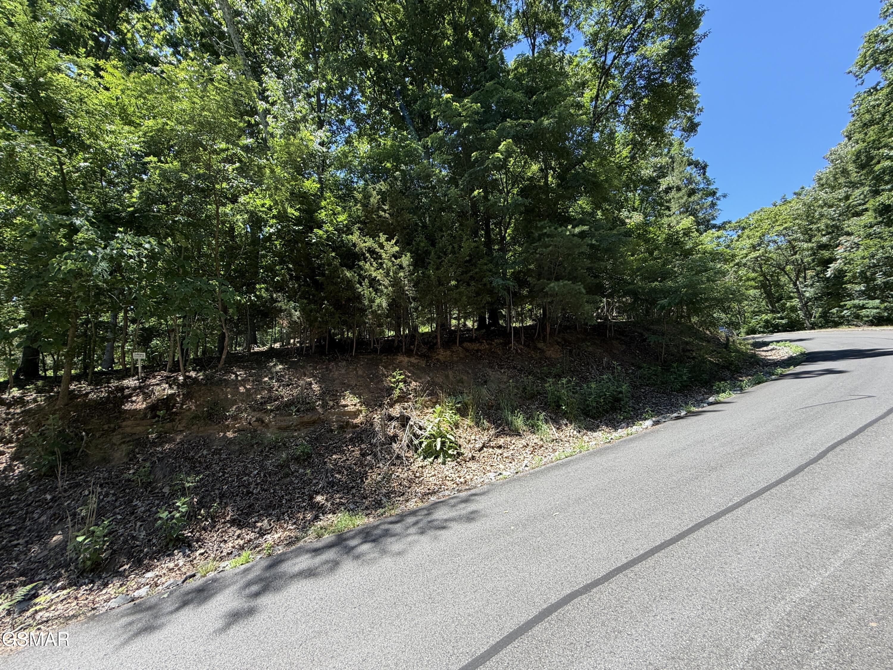 0 Harbor View Mooresburg TN 37811