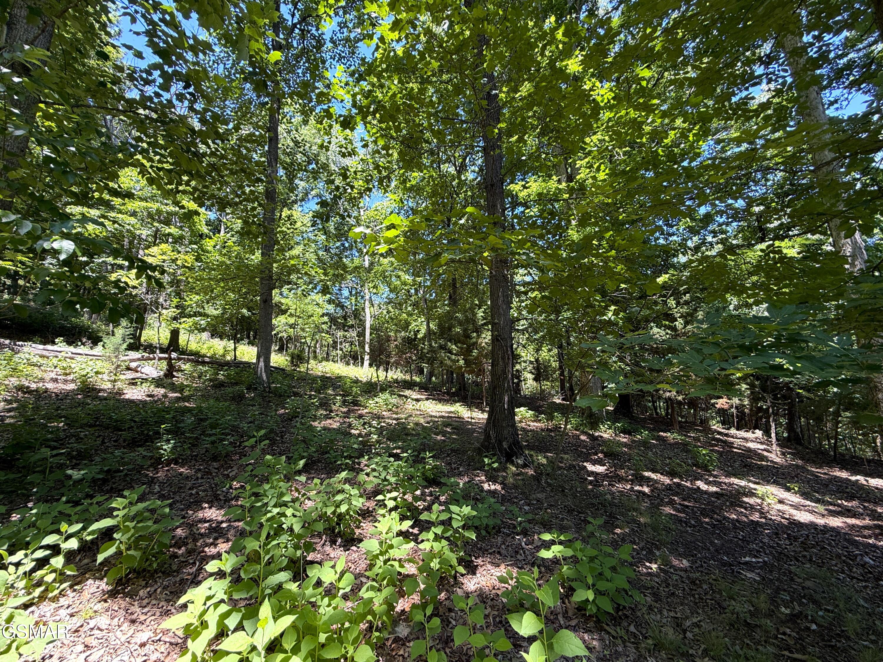 0 Harbor View Mooresburg TN 37811
